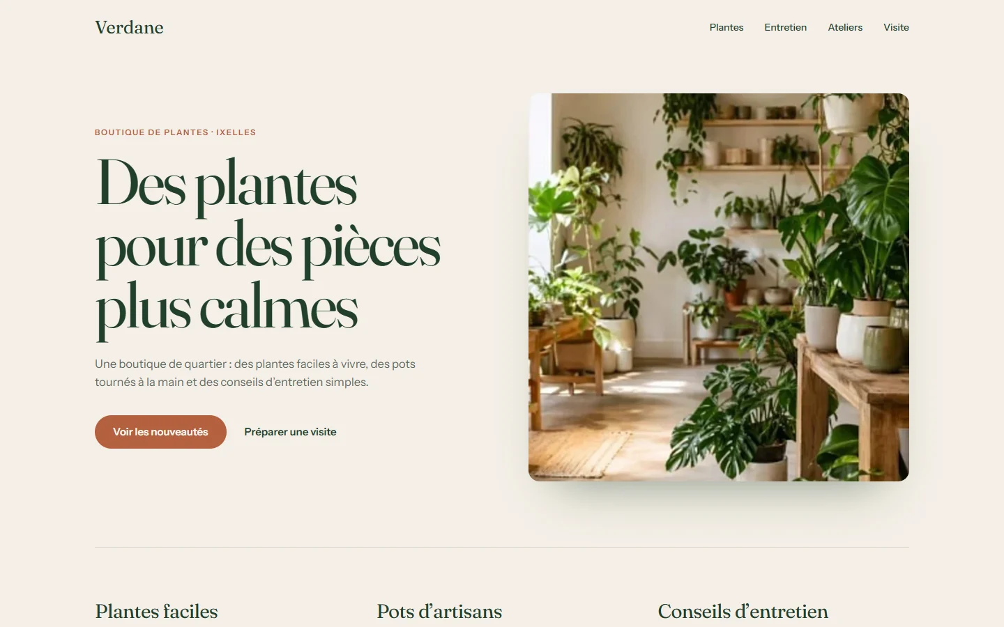 L’accueil du site Verdane, boutique de plantes, avec la photo de la boutique.