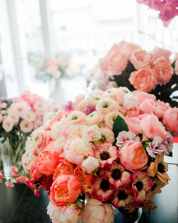 Pivoines corail, renoncules et anémones en pleine floraison