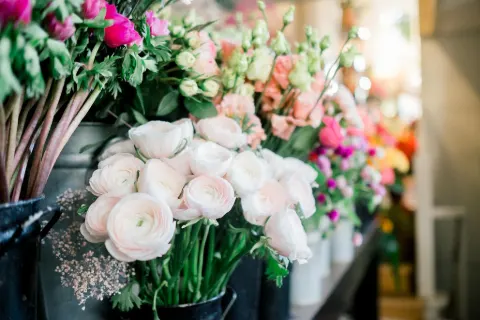 Renoncules blanches et roses en seau, devant un mur de fleurs colorées